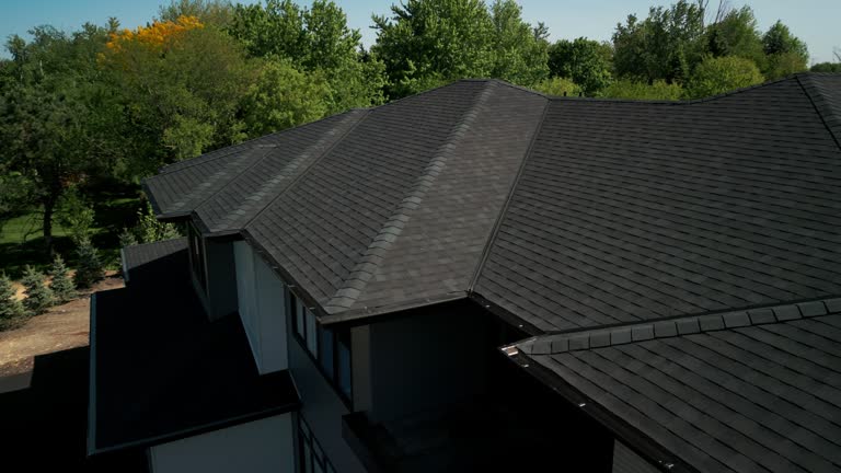 Best Steel Roofing  in Shawneeland, VA