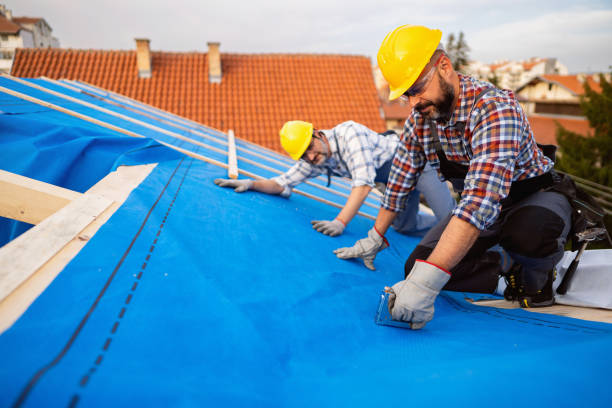 Best Gutter Installation and Repair  in Shawneeland, VA