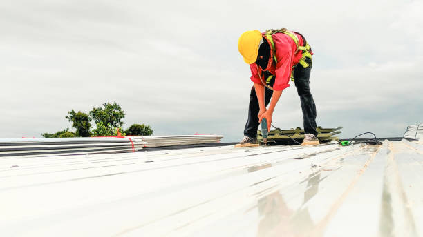 Best Sheet Metal Roofing  in Shawneeland, VA