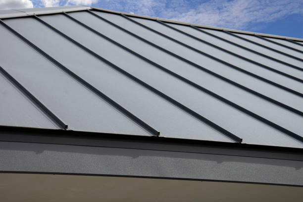 Best Metal Roofing Installation  in Shawneeland, VA